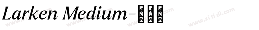 Larken Medium字体转换